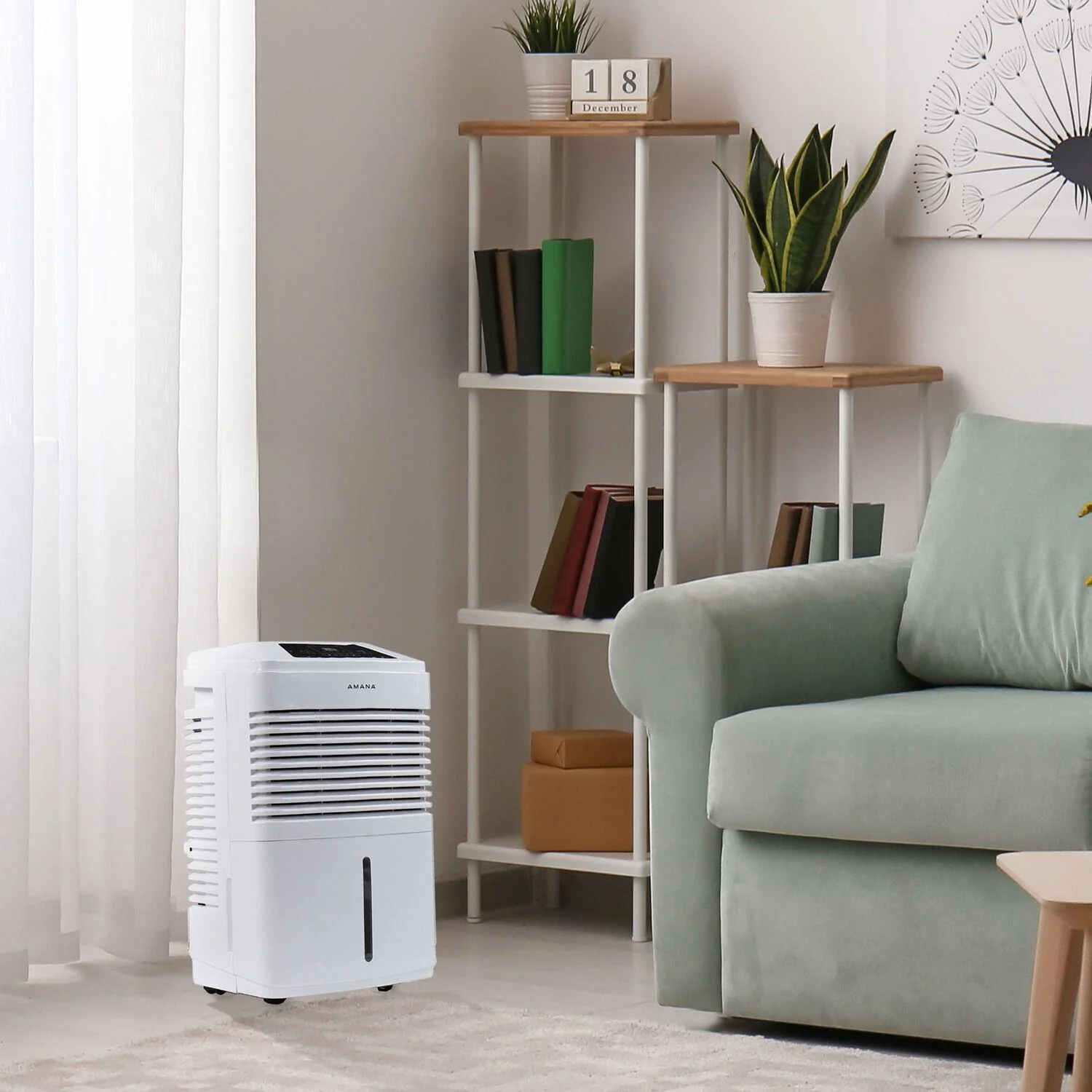 48 Pint Portable Dehumidifier with Adjustable Humidistat, Auto Shut-Off Indicator, and 24-Hour Timer - Image 6