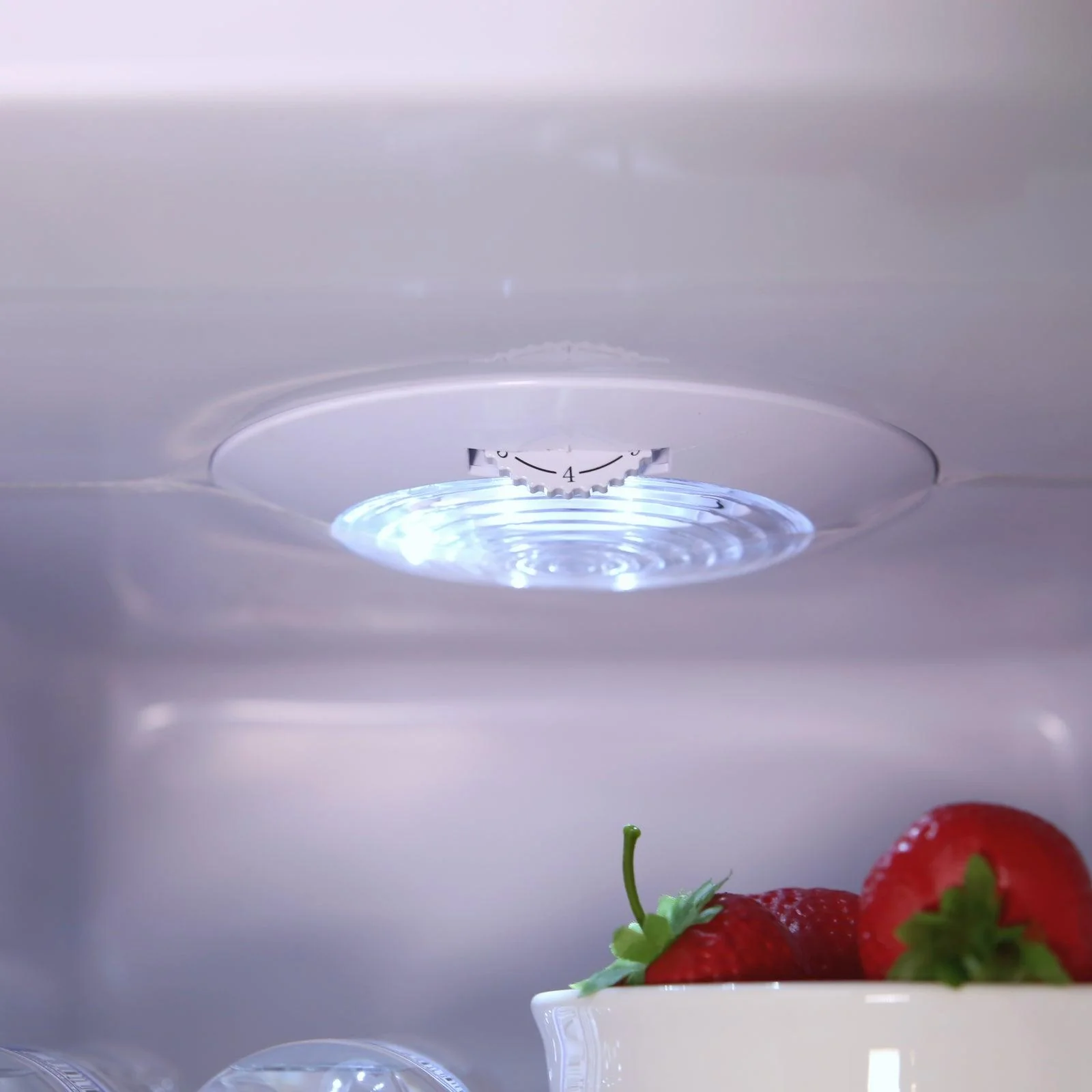 RMS551SS Avanti 5.5 cu. ft. Compact Refrigerator - Image 9