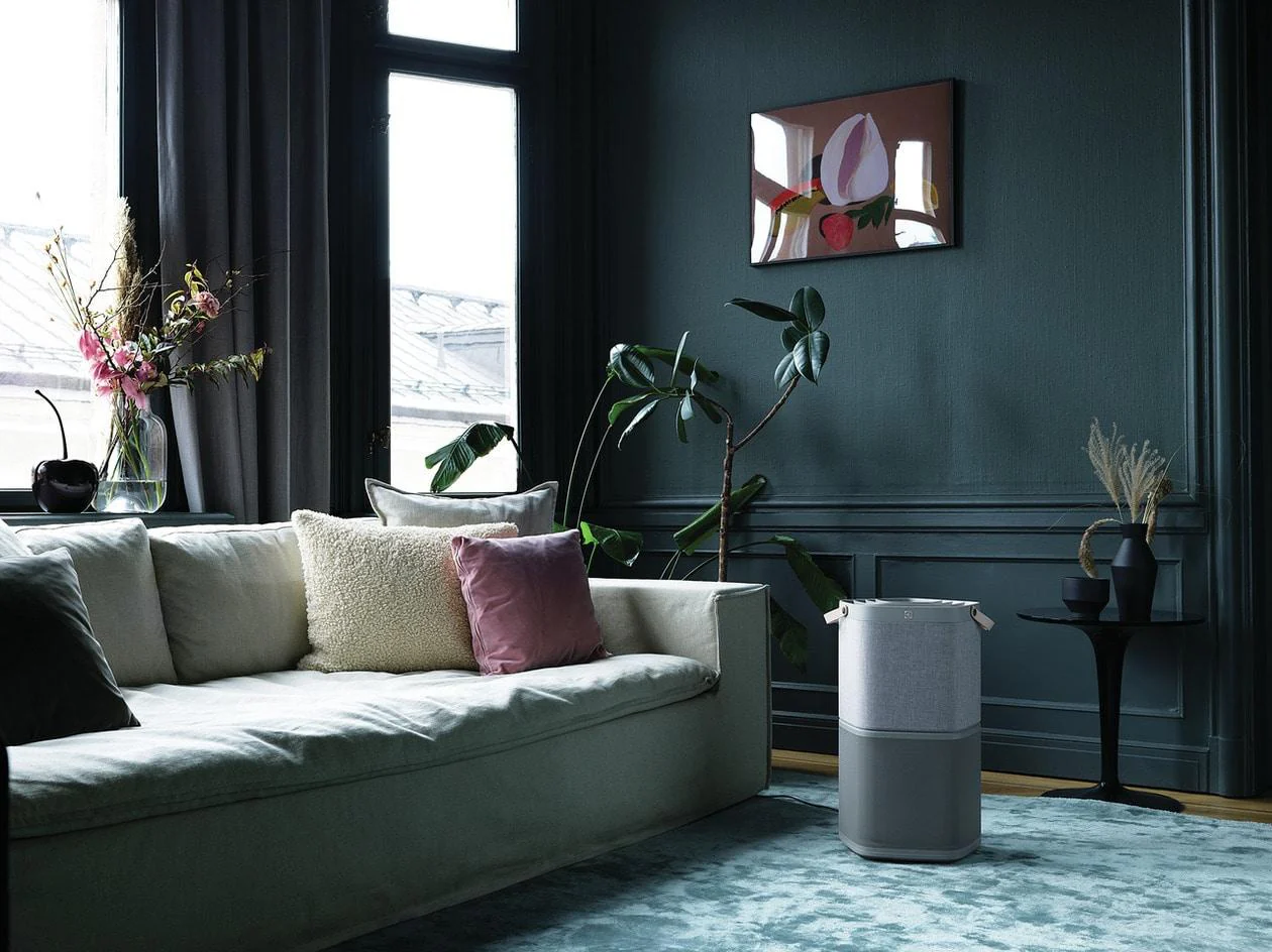 Electrolux EHAW4010AG 267 Sq. Ft. Air Purifier - Image 5