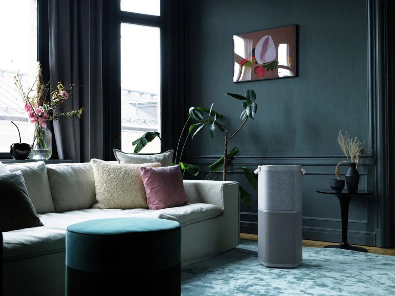Electrolux EHAW6020AG 401 Sq. Ft. Air Purifier - Image 5