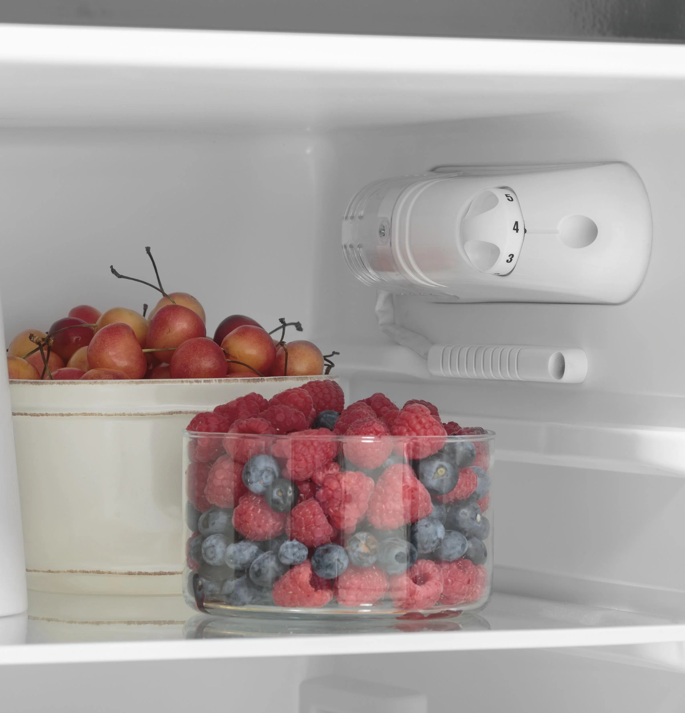 GPV10FSNSB GE® 9.8 Cu. Ft. 12 Volt DC Power Top-Freezer Refrigerator - Image 10