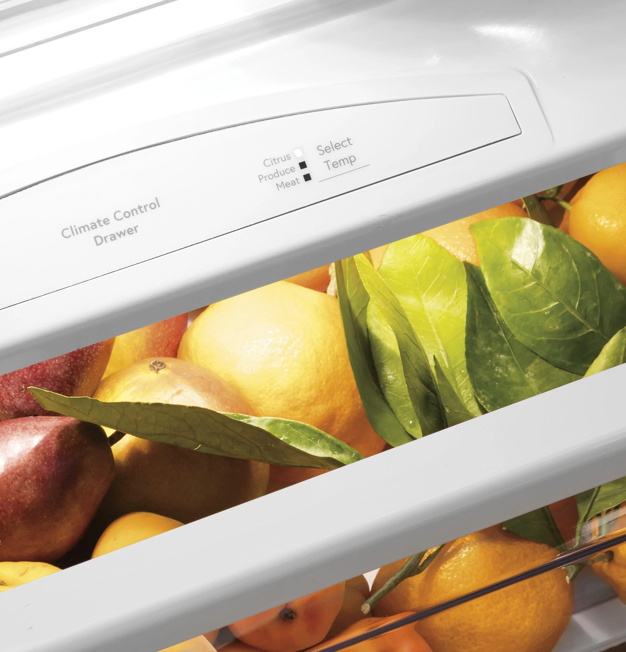 PSB48YSRSS GE Profile™ Series 48" Smart Built-In Side-by-Side Refrigerator with Dispenser - Image 11