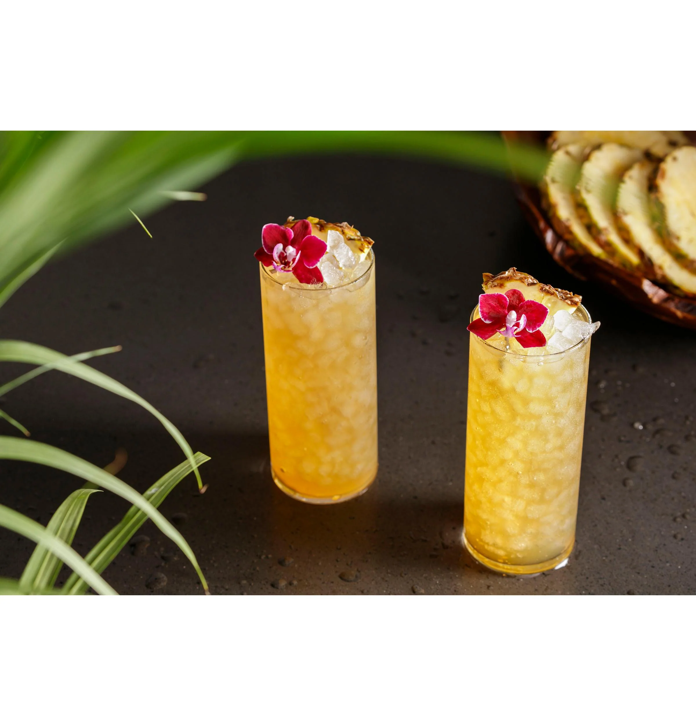 XPIO23SCSS GE Profile™ Opal™ 2.0 Nugget Ice Maker - Image 10