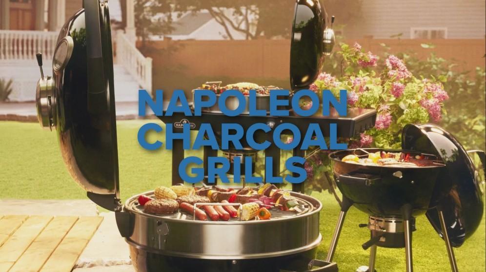 Napoleon Bbq PRO18KLEG3 Professional 18 Charcoal Kettle 18-inch Kettle Grill , Charcoal, Black - Image 2