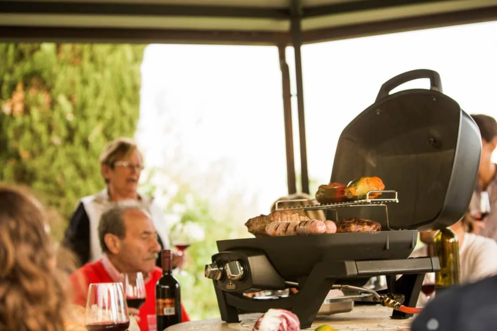 Napoleon Bbq PRO285NBK TravelQ PRO285 Portable Gas Grill , Natural Gas, Black - Image 7