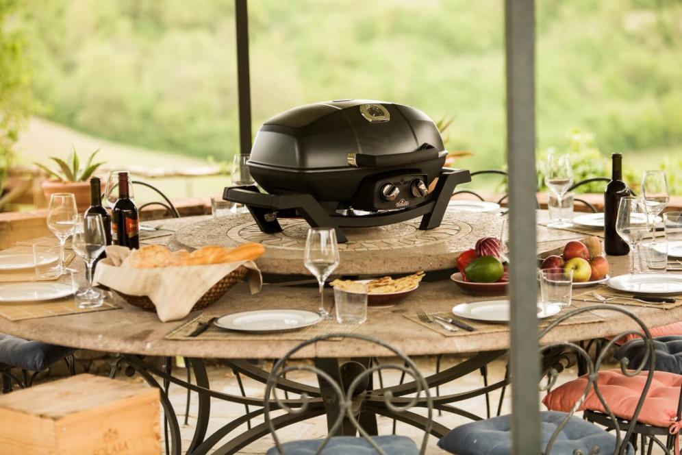 Napoleon Bbq PRO285NBK TravelQ PRO285 Portable Gas Grill , Natural Gas, Black - Image 8
