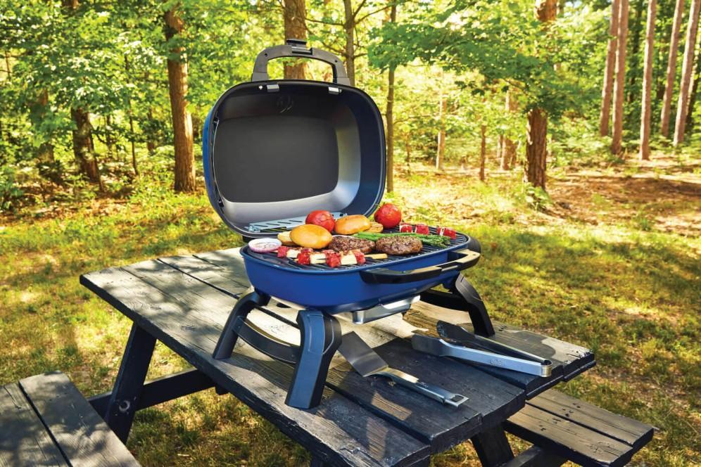 Napoleon Bbq TQ240BL TravelQ 240 Portable Gas Grill , Propane, Blue - Image 10
