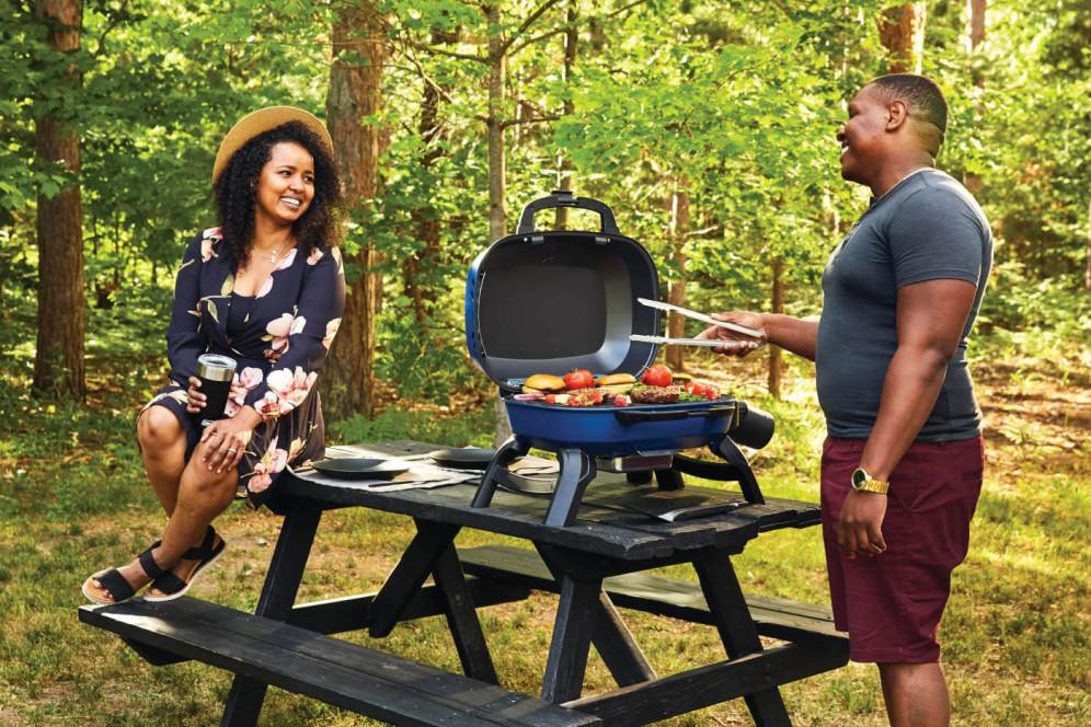 Napoleon Bbq TQ240BL TravelQ 240 Portable Gas Grill , Propane, Blue - Image 8