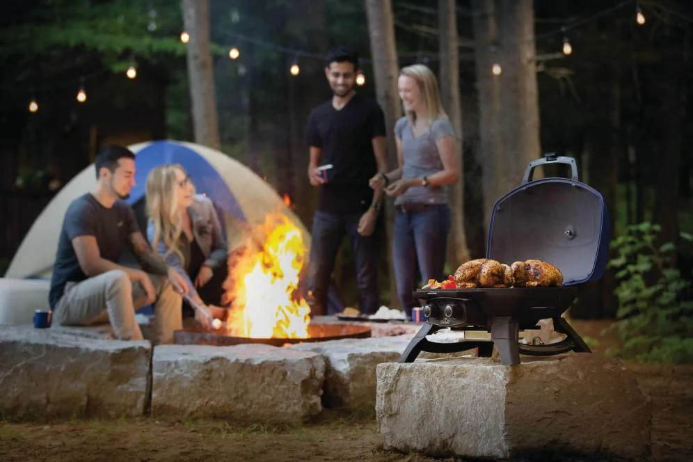 Napoleon Bbq TQ285BL1 TravelQ 285 Portable Gas Grill , Propane, Blue - Image 7