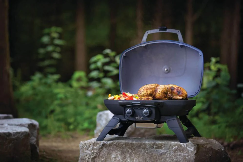 Napoleon Bbq TQ285BL1 TravelQ 285 Portable Gas Grill , Propane, Blue - Image 8