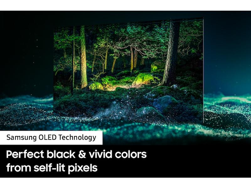 55" Class S95B OLED 4K Smart TV (2022) - Image 6