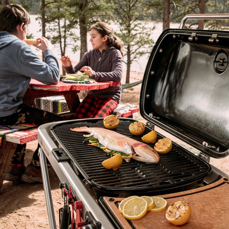 9010001 Weber Traveler® Portable Gas Grill - Black - Image 7
