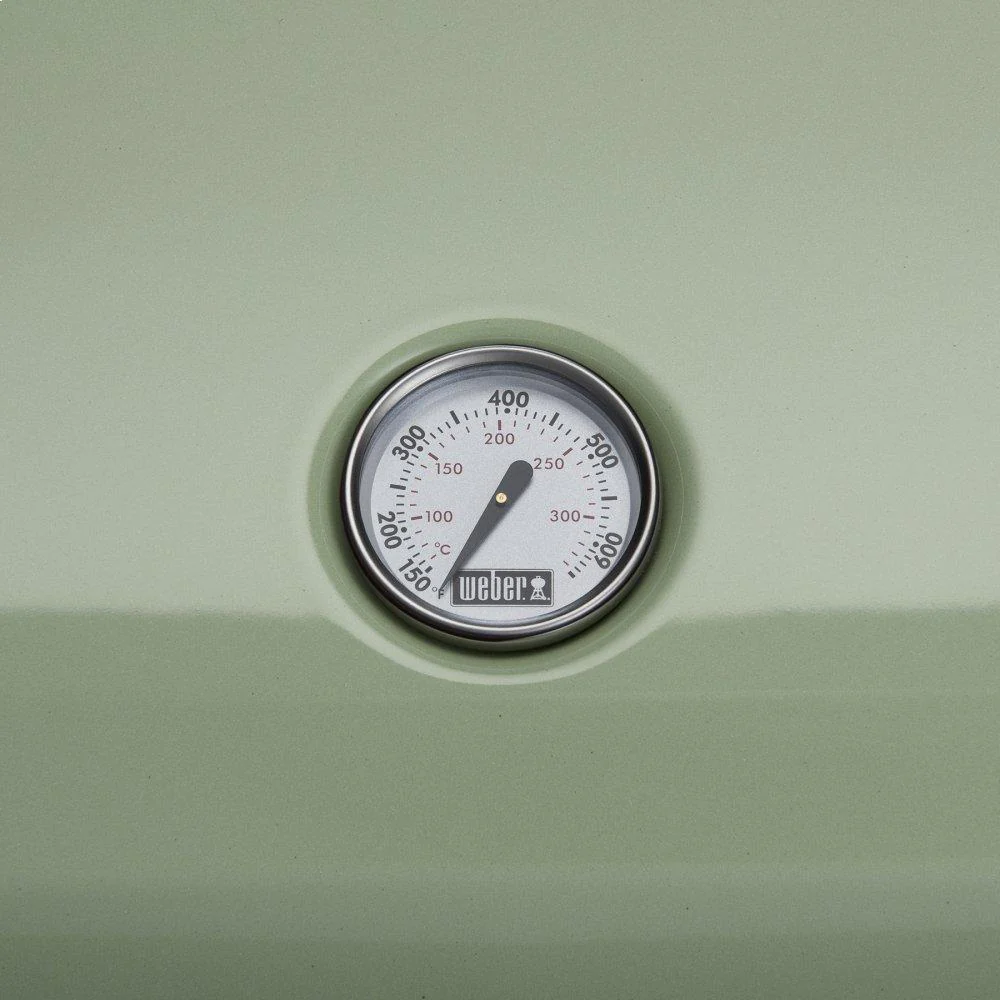 Weber 92070901 Lumin Electric Grill - Seafoam Green - Image 4